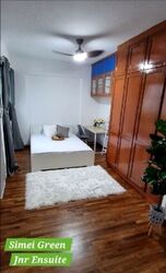 Simei Green Condominium (D18), Condominium #586805031